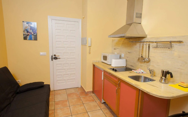 Apartamentos Puerta de la Maestranza