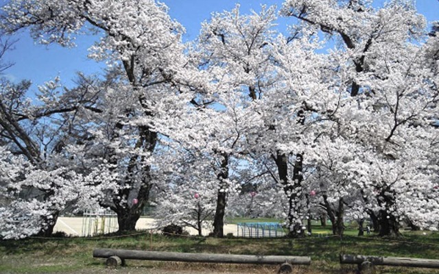 Kougentei