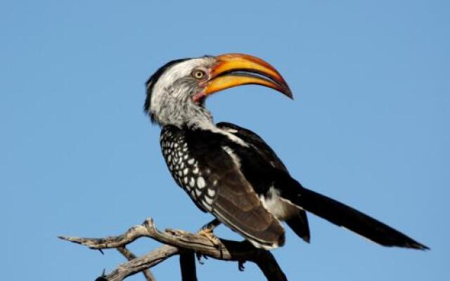 Waterberg Wilderness