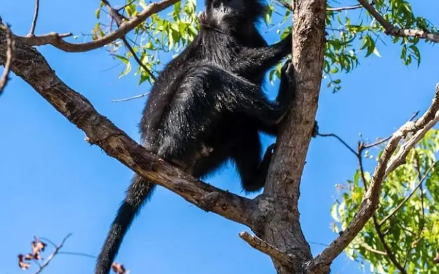 Villa Sari Bumi Menjangan