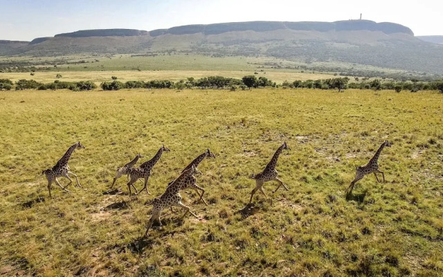 African Hills Safari Lodge & Spa