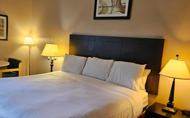 Bellis Inn