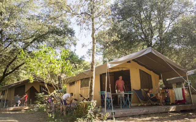 Huttopia Ile de Ré - Chardons bleus
