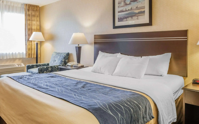 Comfort Inn On the Bay