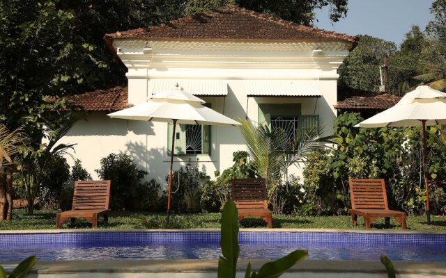 The Project Cafe Goa