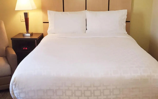 Candlewood Suites Houston Medical Center by IHG