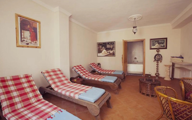 Catty Cats Garden Hotel