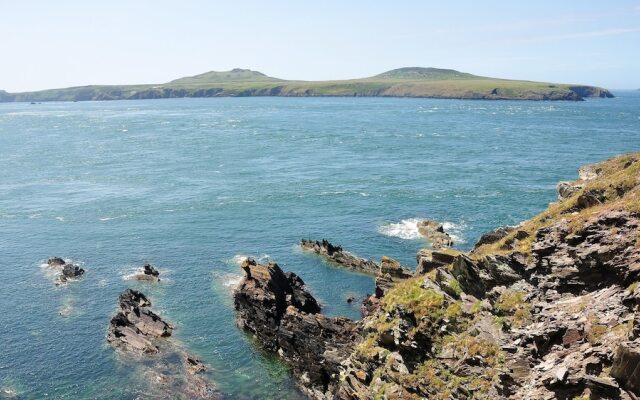Newgale Lodge