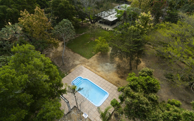 Porto Jofre Pantanal