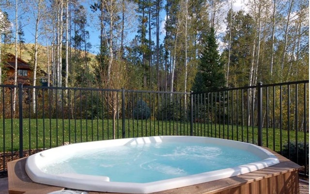 Scandinavian Lodge and Condominiums