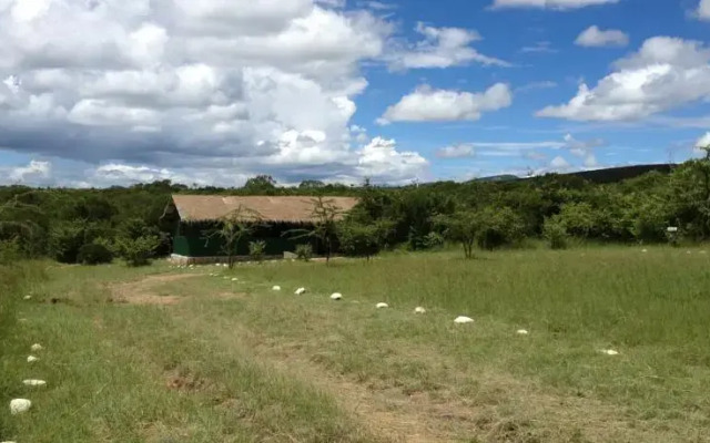 Mara Explorers Camp & Backpackers