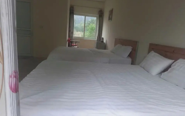 Trang an pristine view homestay