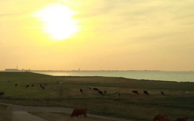 Stella Maris Modern Retreat