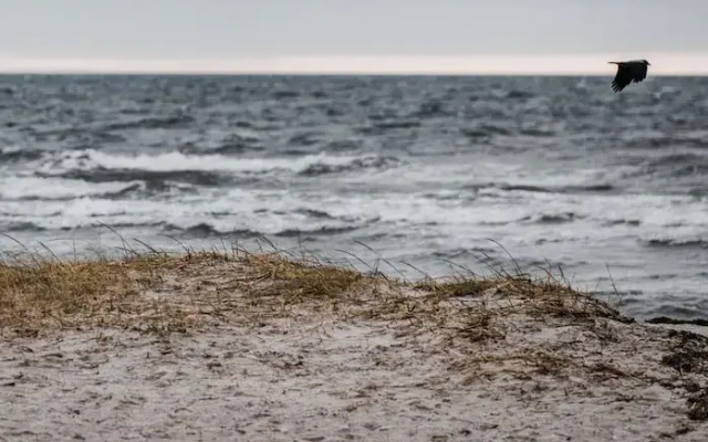 Strandmotellet