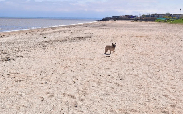 Pips Chalet in the Isle of Sheppey