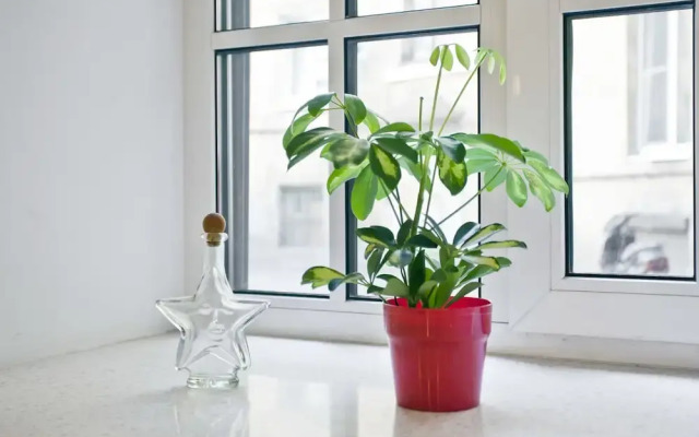 Студия Rental Spb на Никольской