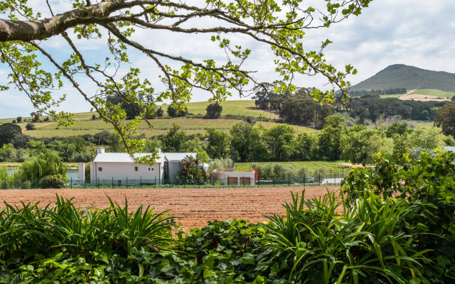 Ladybird Boutique Hotel