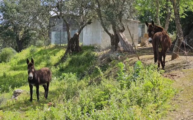 Toca do Fradinho - Pera 3 7Km da Praia