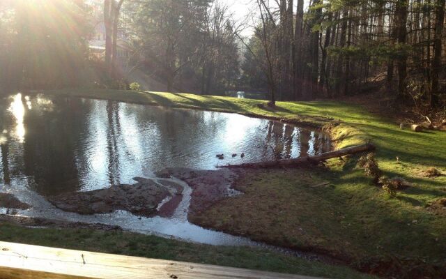 The Yellow House on Plott Creek Road