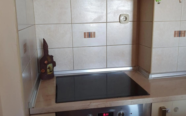 Petrov Apartment in Downtown - City Center 70m2