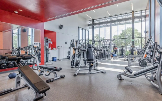 HTX Spacious Apt Parking Near Dtown NRG