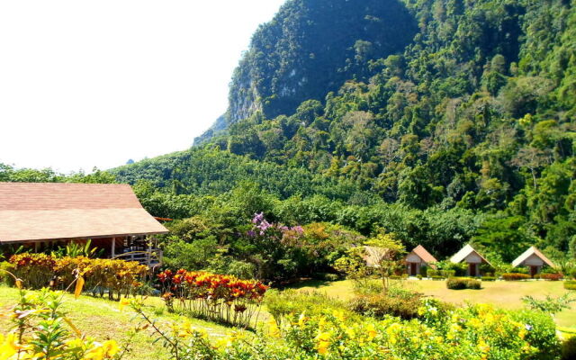 Cliff And River Jungle