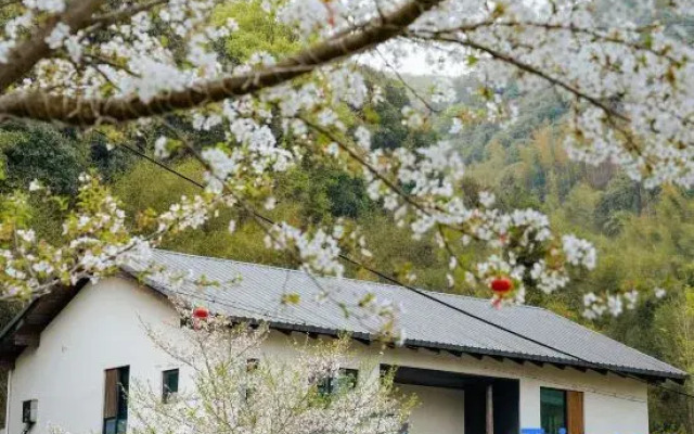 Tingjian Mount Mogan luxury design hostel