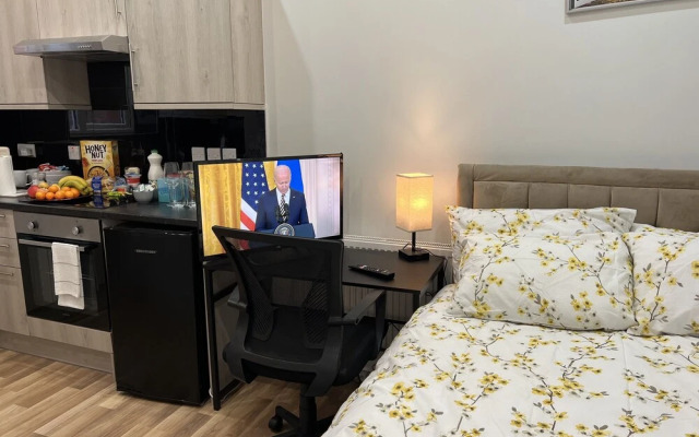 Entire Studio apartment - London