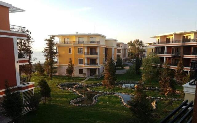 Dreamland Oasis of happiness