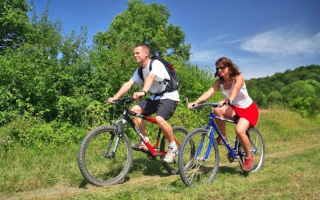 Domaine de lEpinette