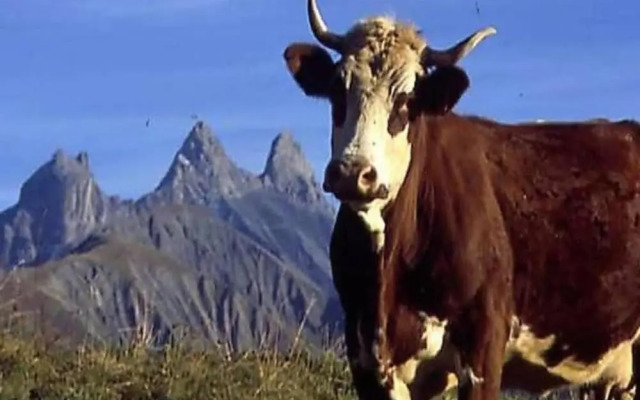 Studio in Saint-sorlin-d\"arves