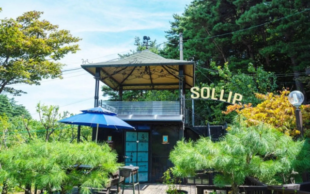 Yangyang Pinot Tree Pension