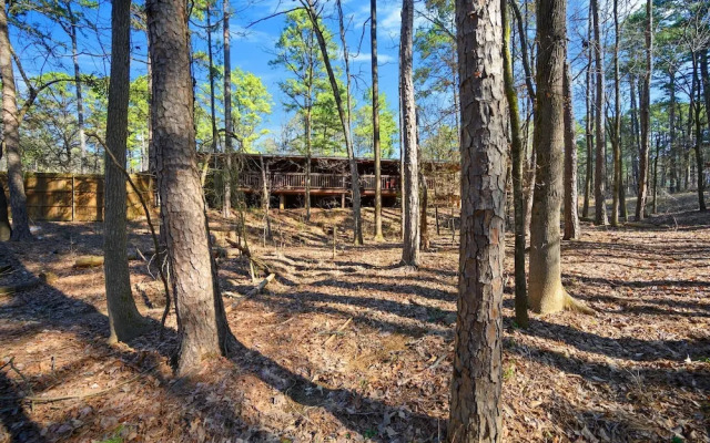 Outlaw Rose Cabin for 8!