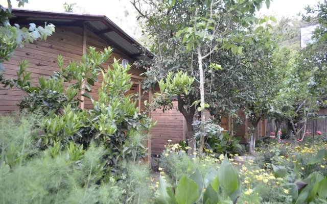 Olympos Mercan Bungalow