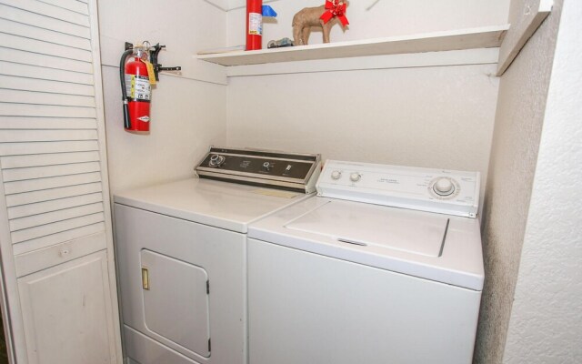 Pines and Needles 1454 by RedAwning