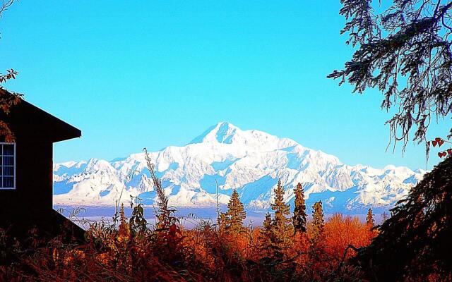 Grace and Bill's Freedom Hills