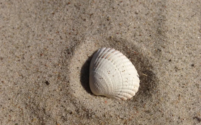 Terrassenwohnung direkt am Ostseestrand