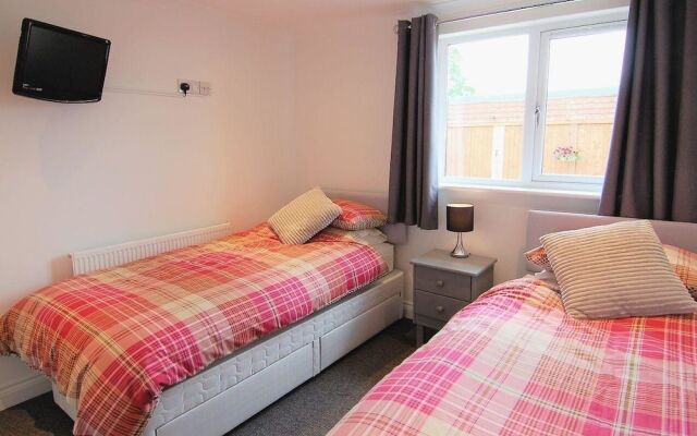 Lilys Pad