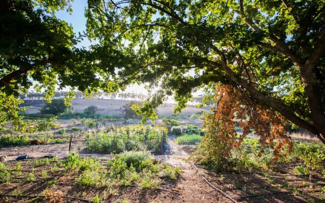 Tulbagh Travelers Lodge