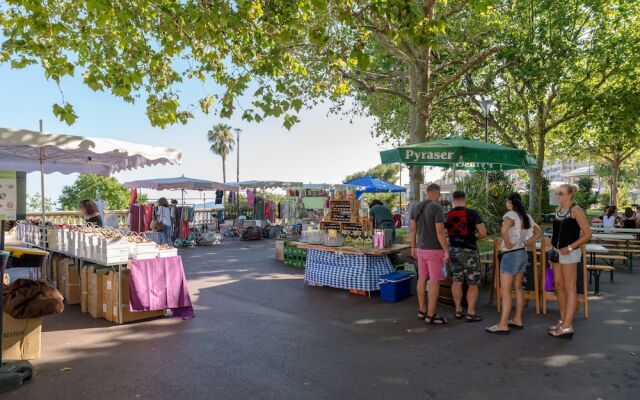 Apt terrasse centre historique