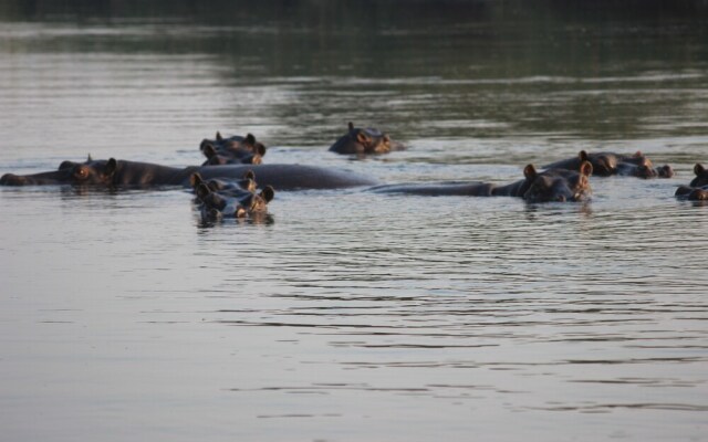 Ndhovu Safari Lodge - Campground