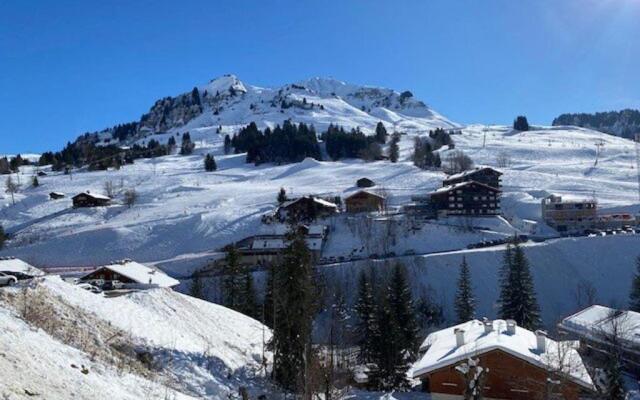 Appartement Le Grand-Bornand, 3 pièces, 6 personnes - FR-1-458-112