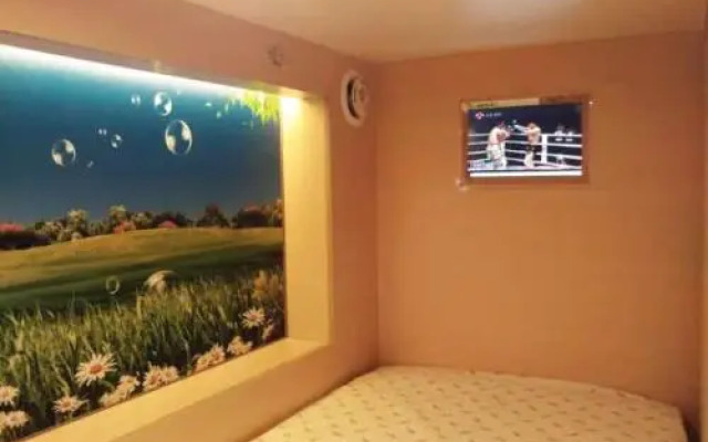 The Olive Tree Capsule Hostel