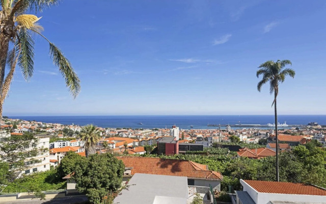 Pina I by An Island Apart