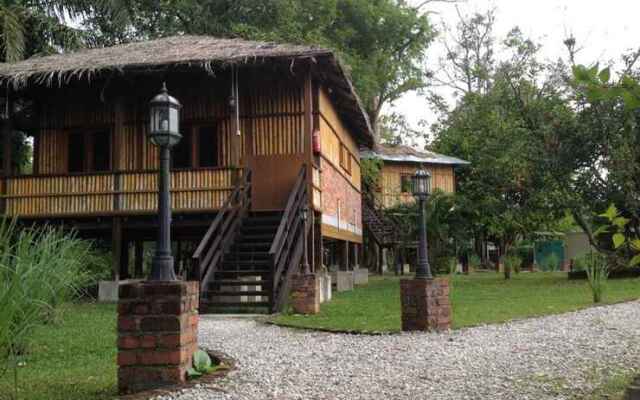 The Roots Eco Resort