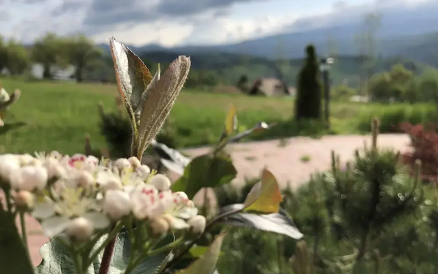 Bran Monte Crai Chalet