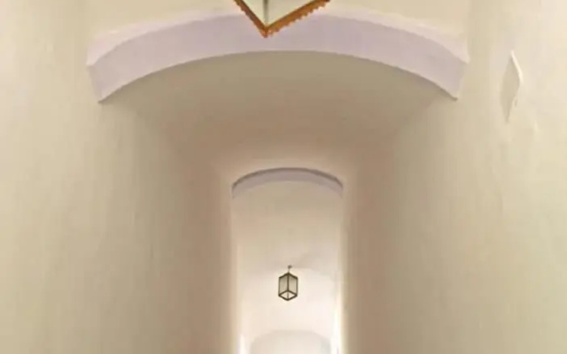 L'Asino Vola