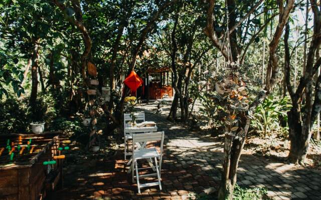 Thuy Bieu Homestay