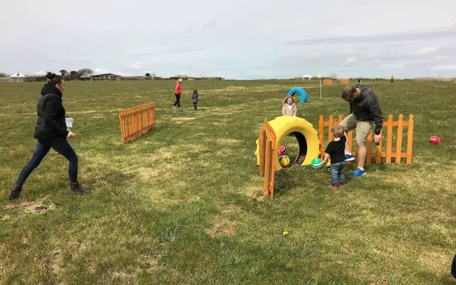 Buzzard Yurt