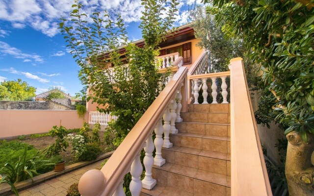 Apartment Branimir ll